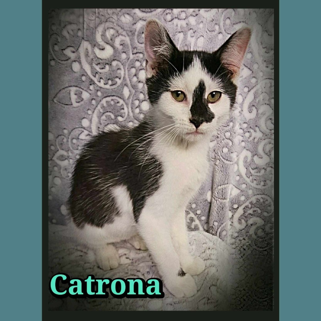 Catrona