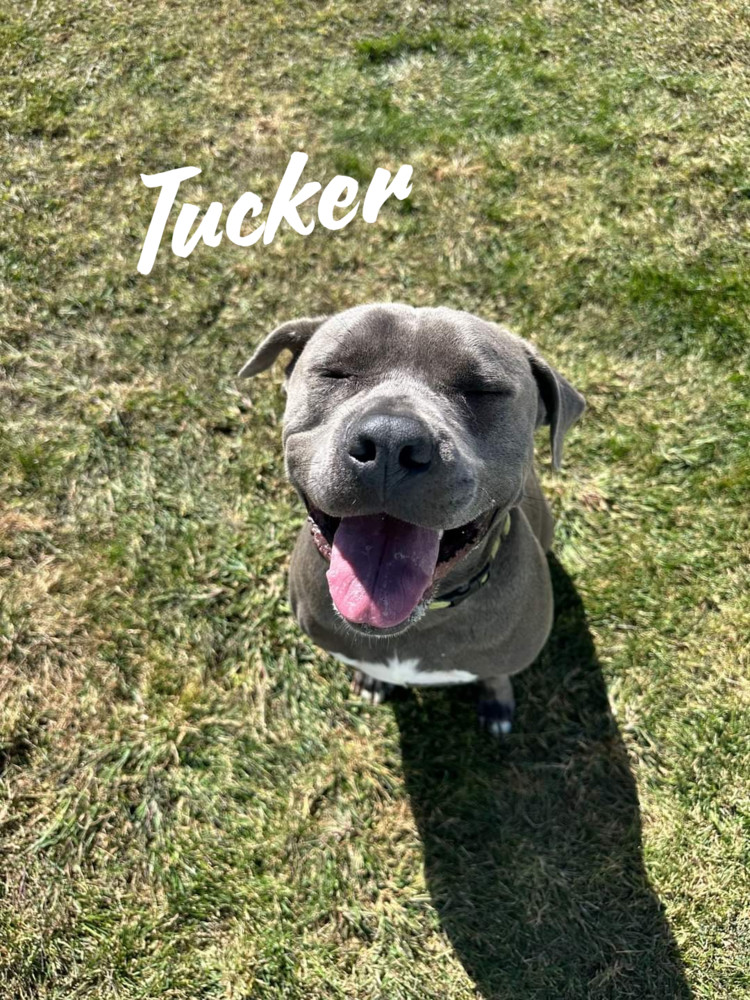 Tucker (Cross Post)