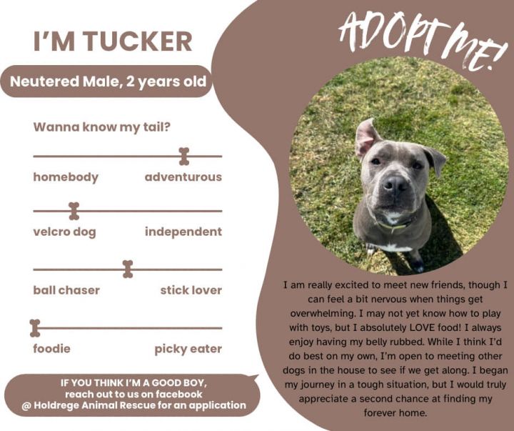 Tucker (Cross Post) 3