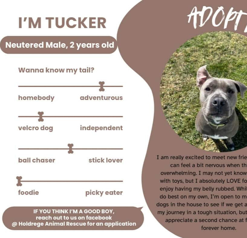 Tucker (Cross Post)