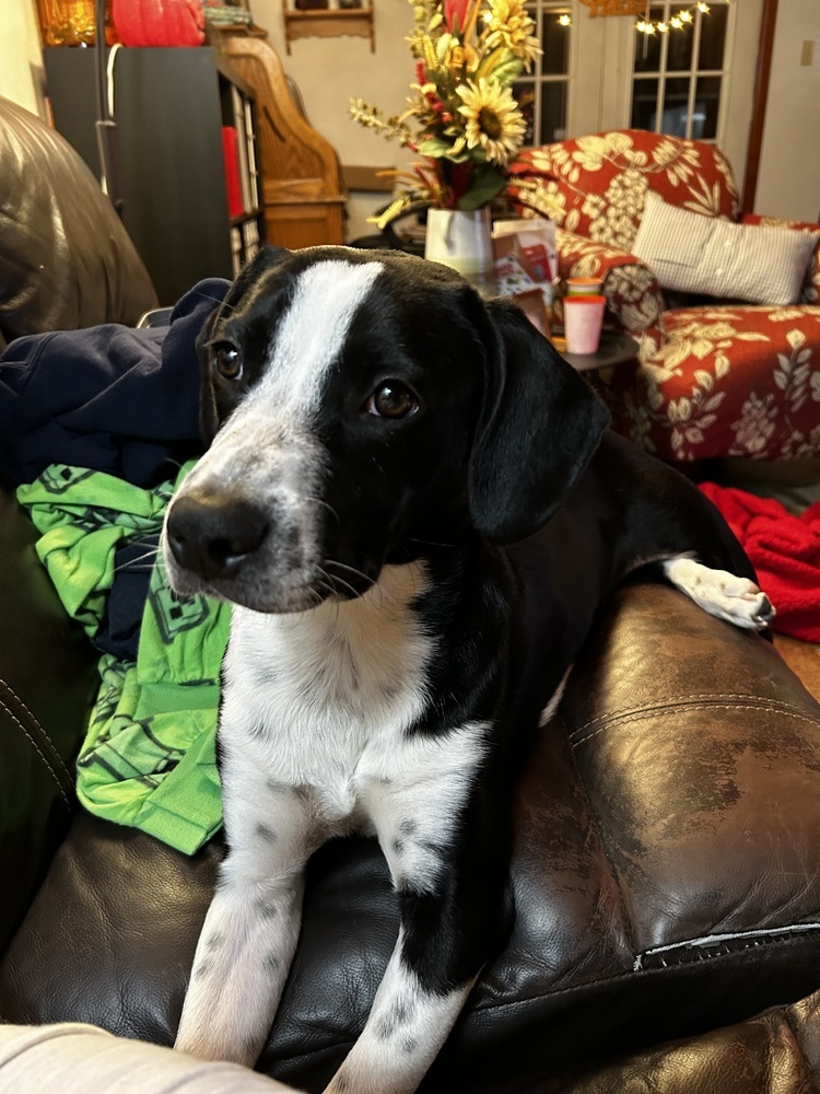 Samson