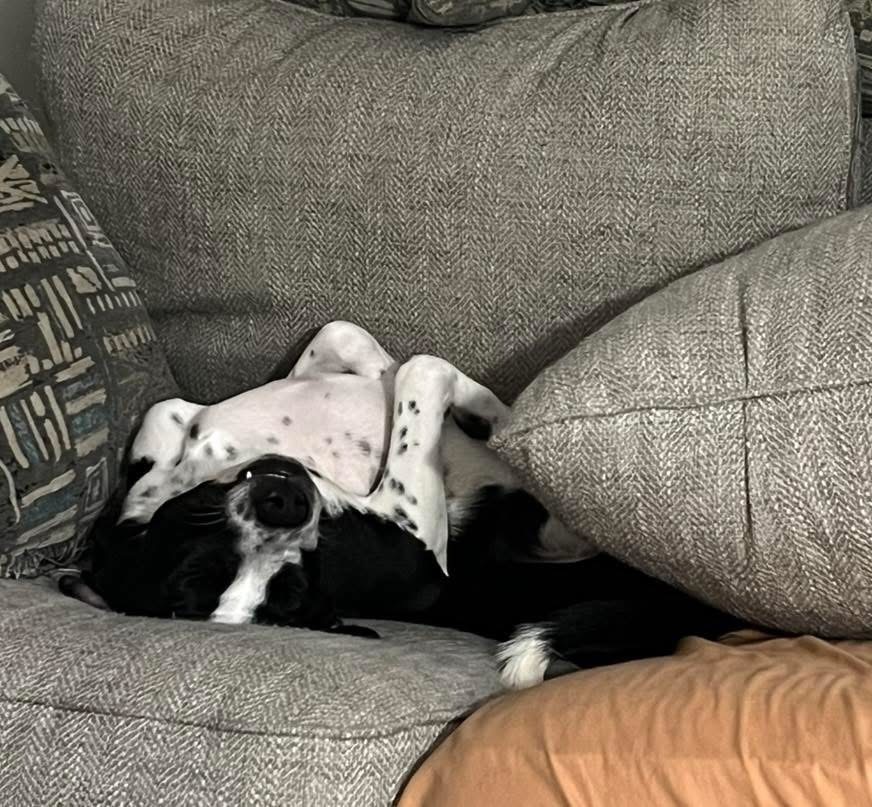 Samson