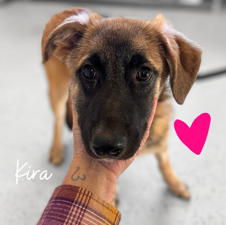 Kira 1