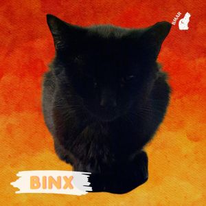 Binx (Feral)