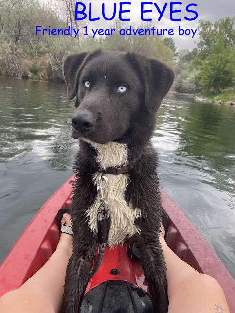 Blue Eyes