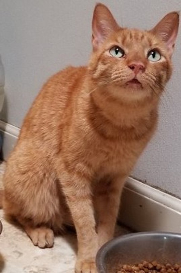 Adam