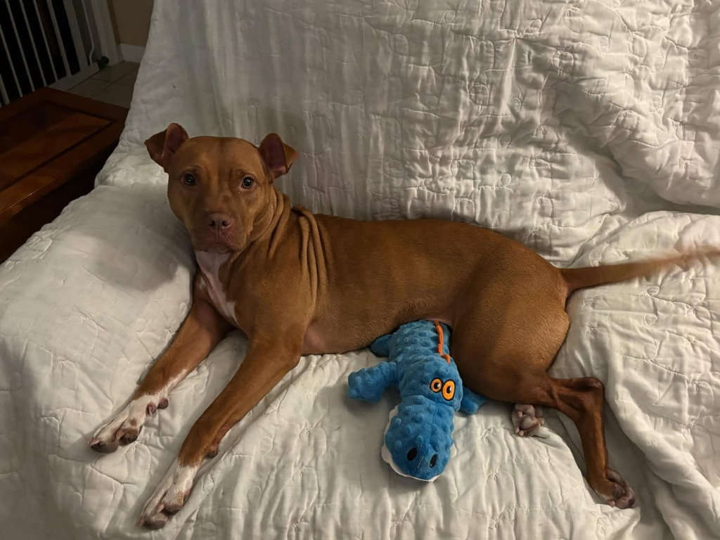 Sasha Nala