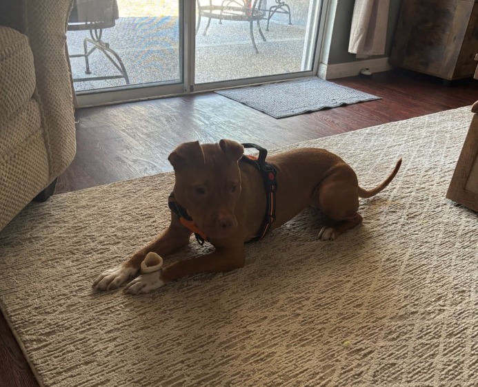 Sasha Nala