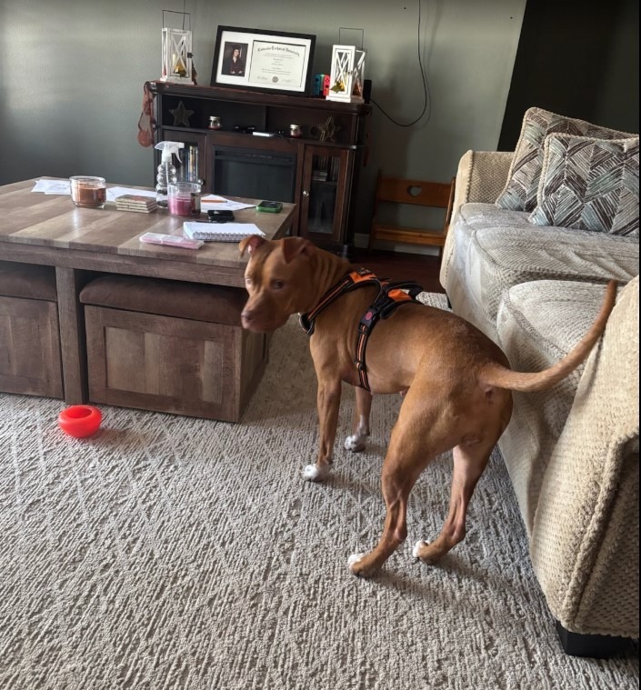 Sasha Nala 5