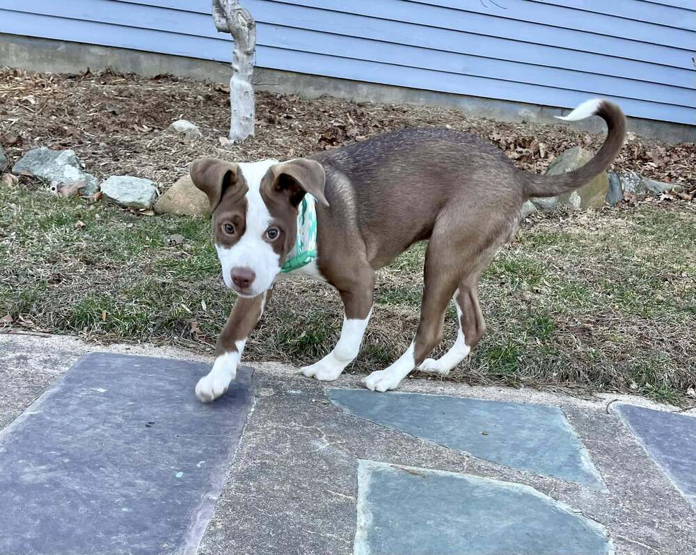 Emmie Lou (AL)