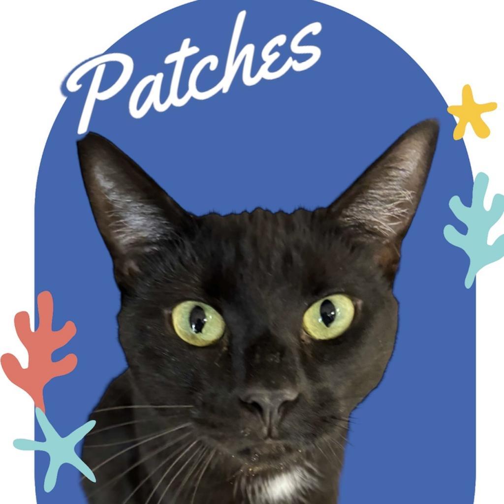 Patches