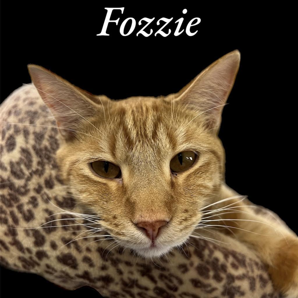 Fozzie