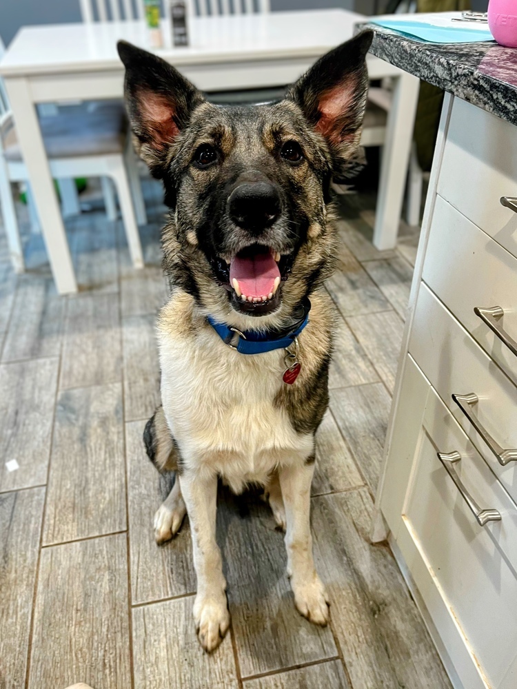 Finnegan