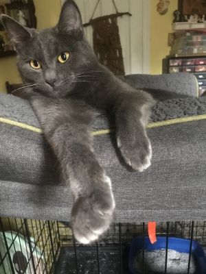 Smudge