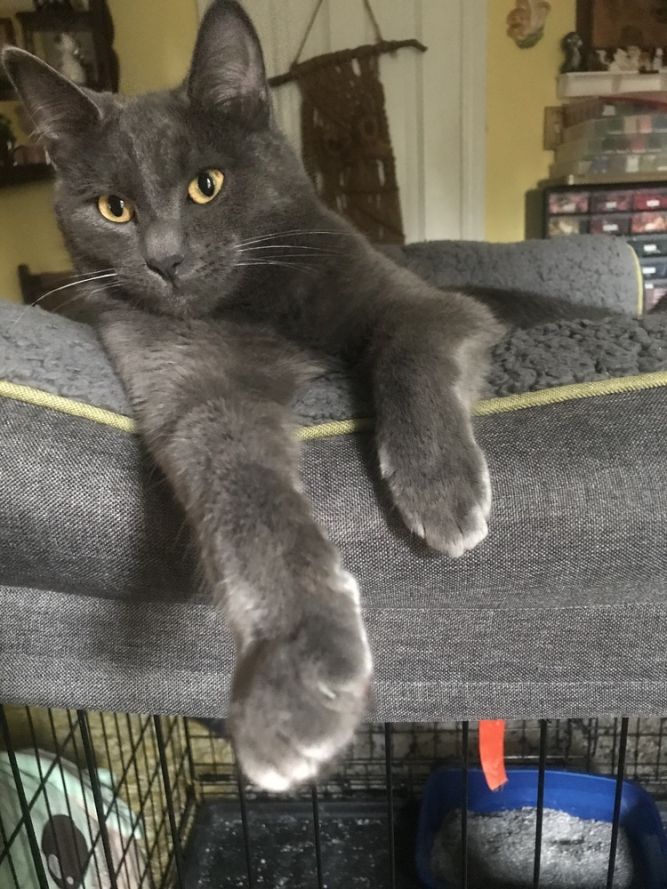Smudge