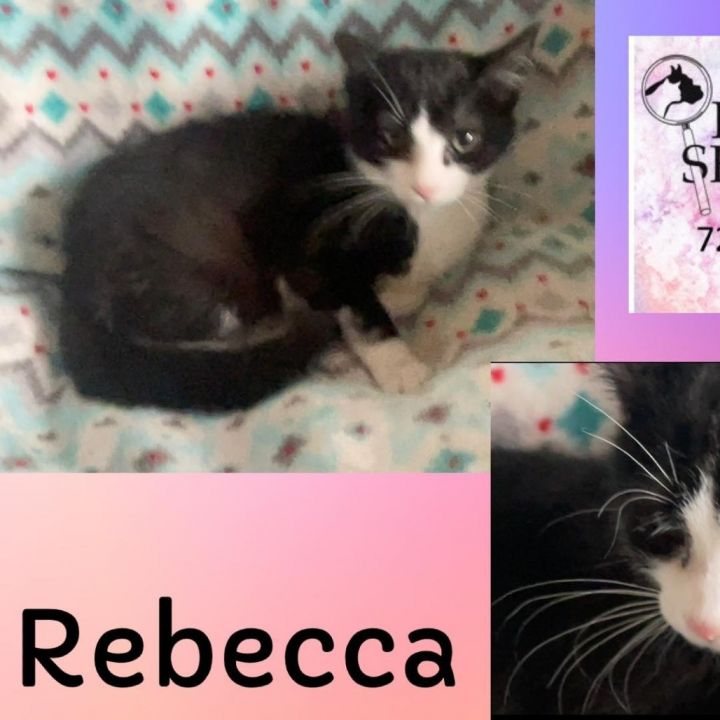 Rebecca 1
