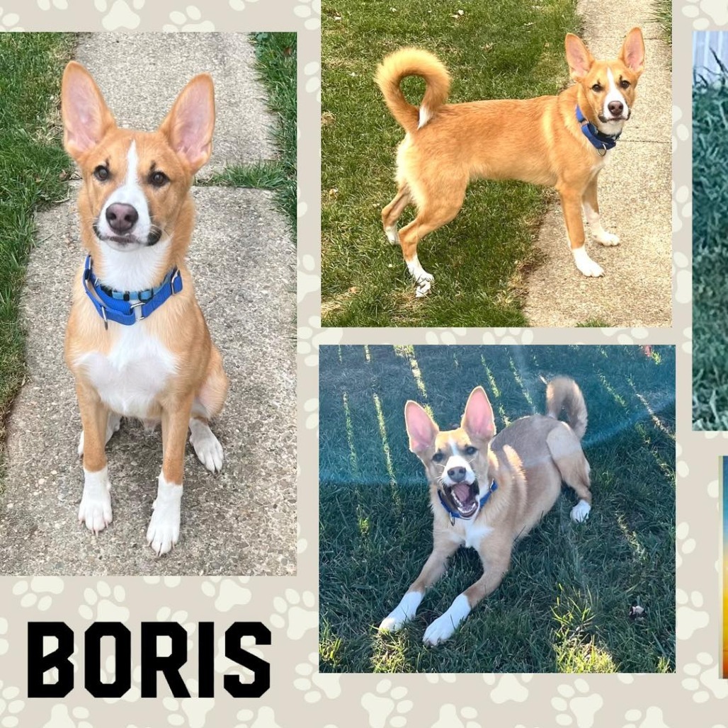 Boris