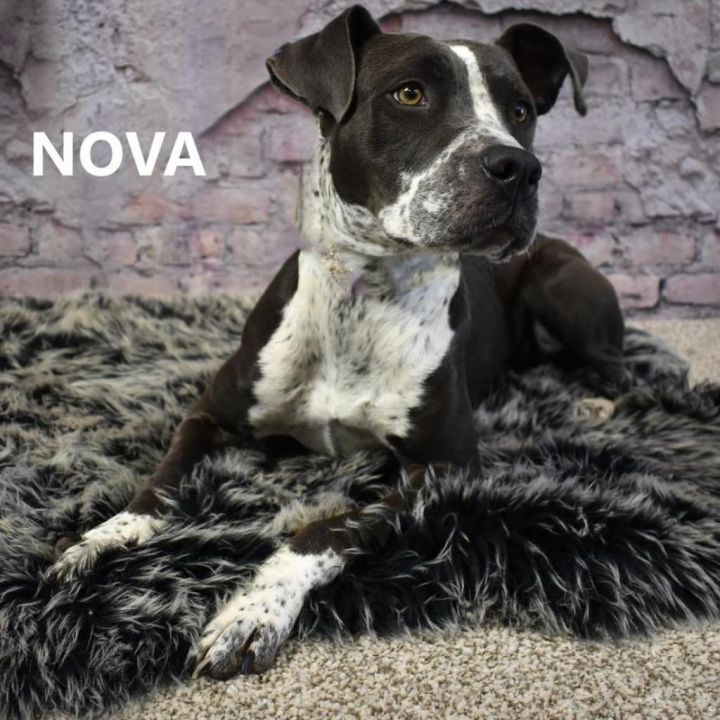 Nova 2