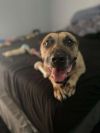Hope photo 3