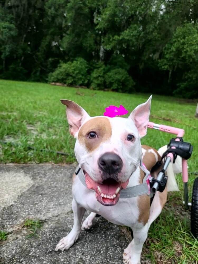 Kahlo
