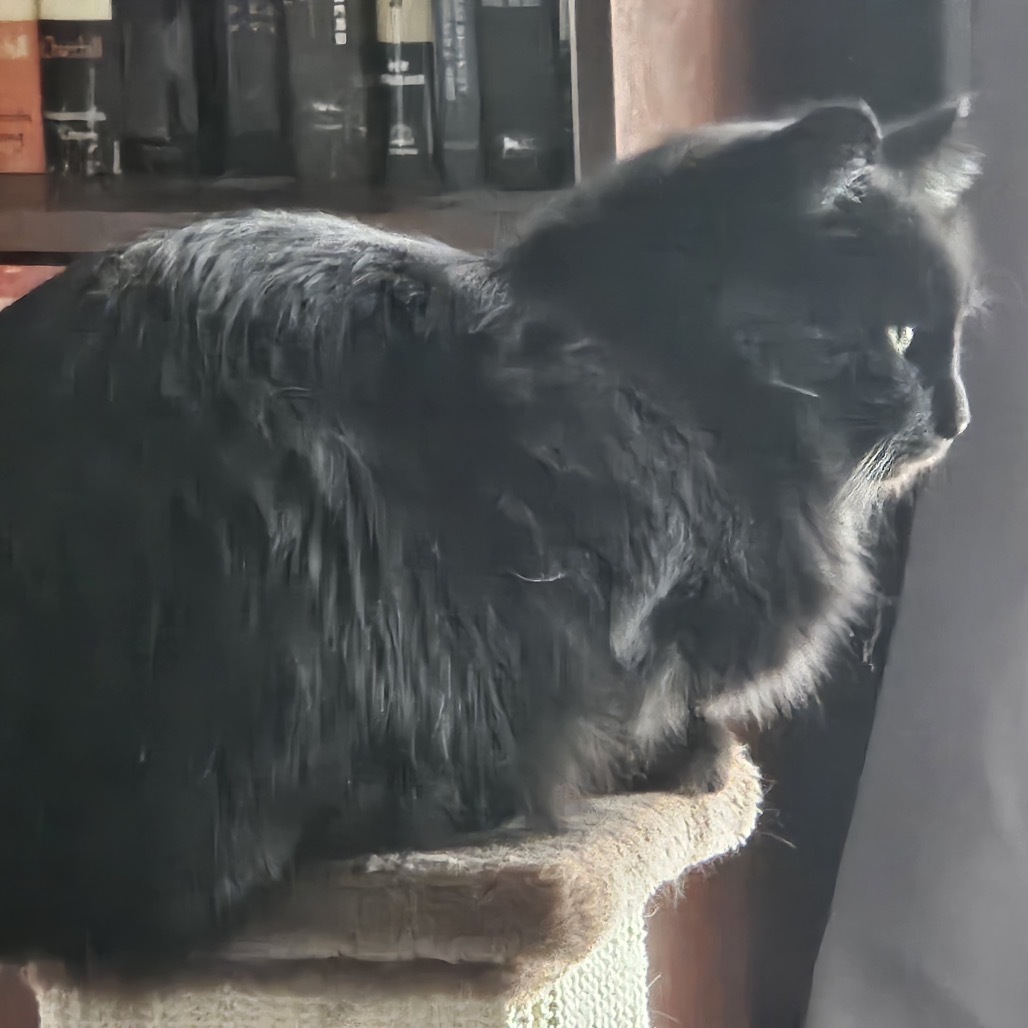 Stella