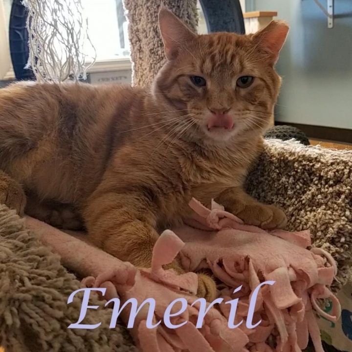 Emeril C24-120 2