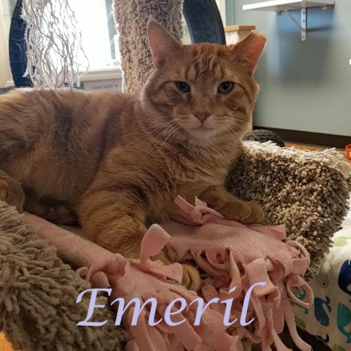 Emeril C24-120 3