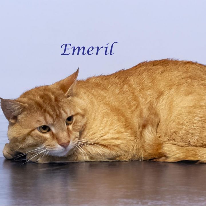 Emeril C24-120 4