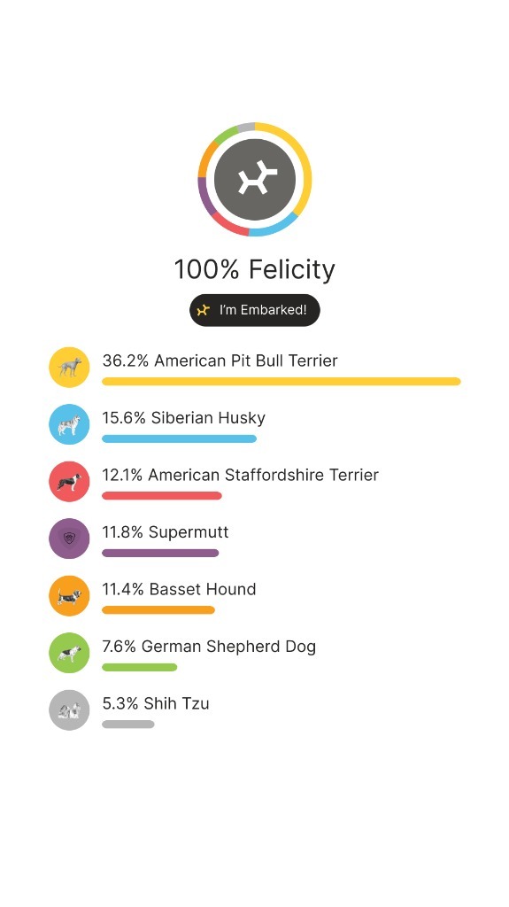Felicity 6