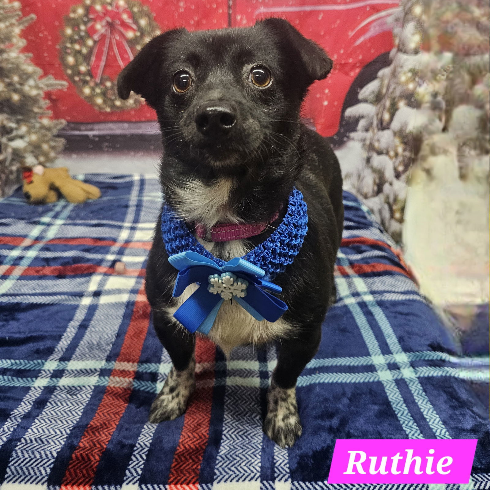 Ruthie