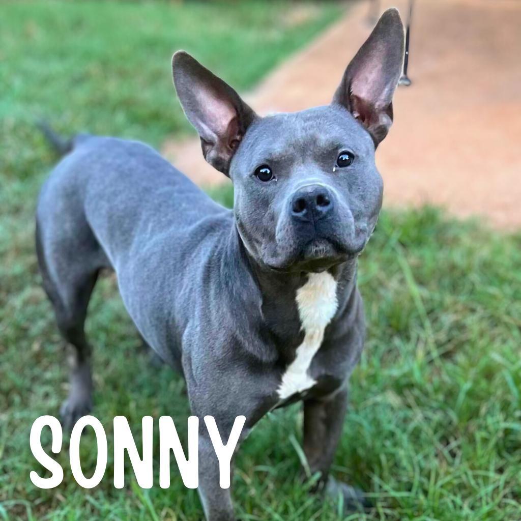 Sonny