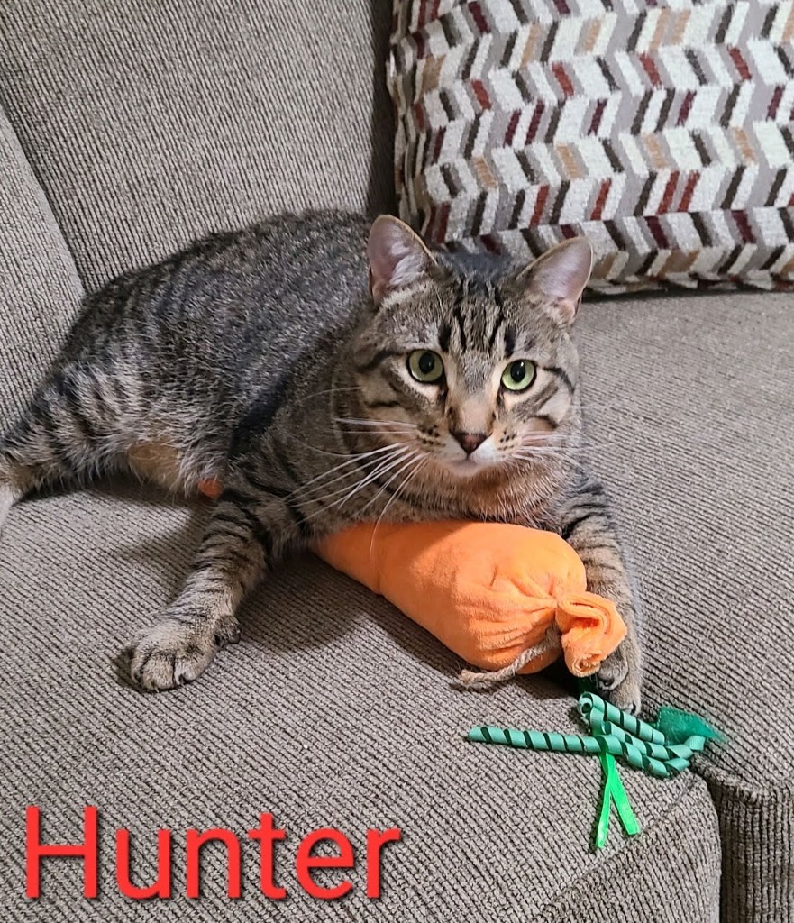 Hunter