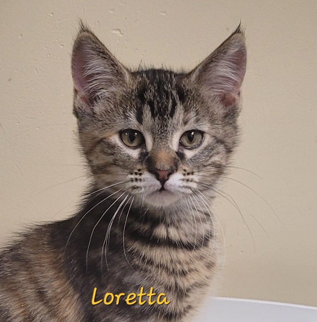 Loretta