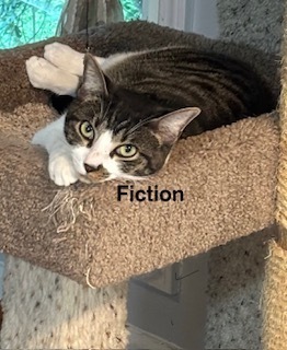 Fiction