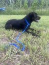 Journey (Astrid) photo 6