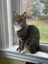 Stitch photo 1