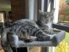 Stitch photo 3
