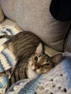 Stitch photo 4