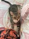 Stitch photo 6