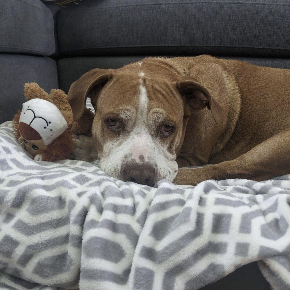 Missy