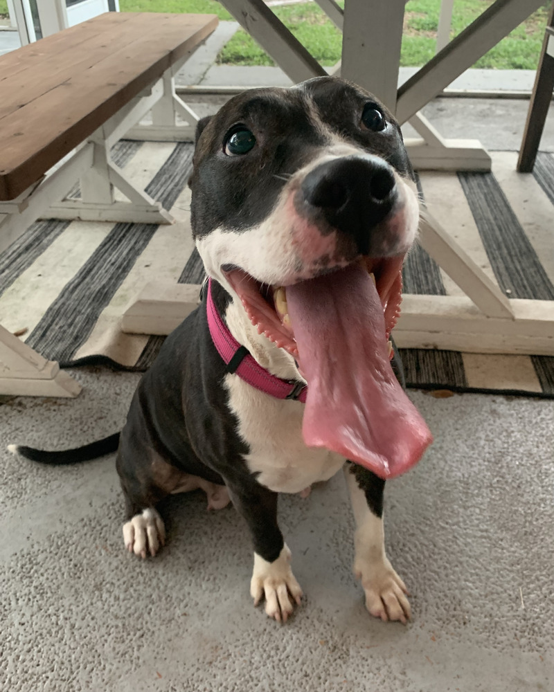 Sophie