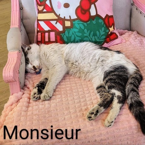 Monsieur