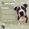 Grady