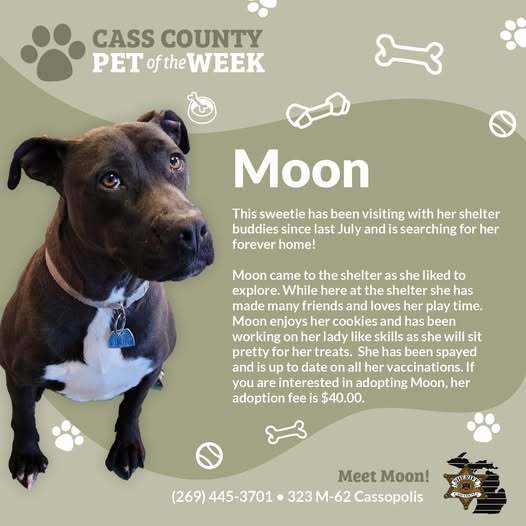 Moon