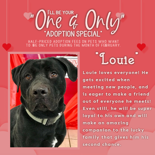 Louie