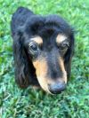 Hannah photo 2