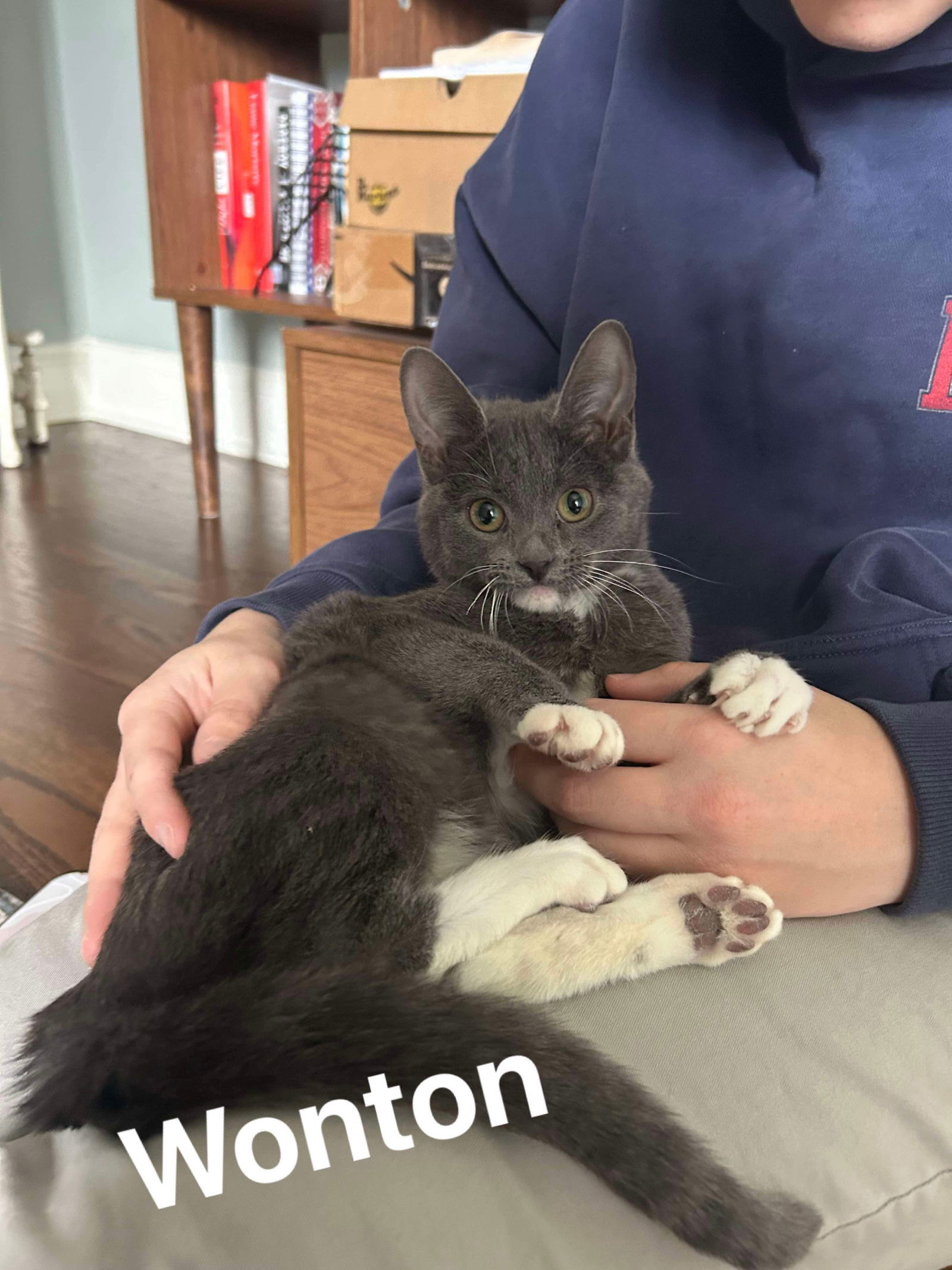 Wonton
