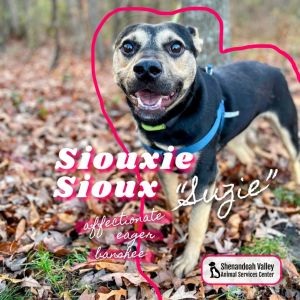 #49 - Siouxie Sioux "Suzie"