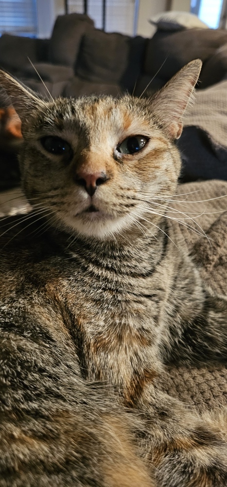 Mueschka