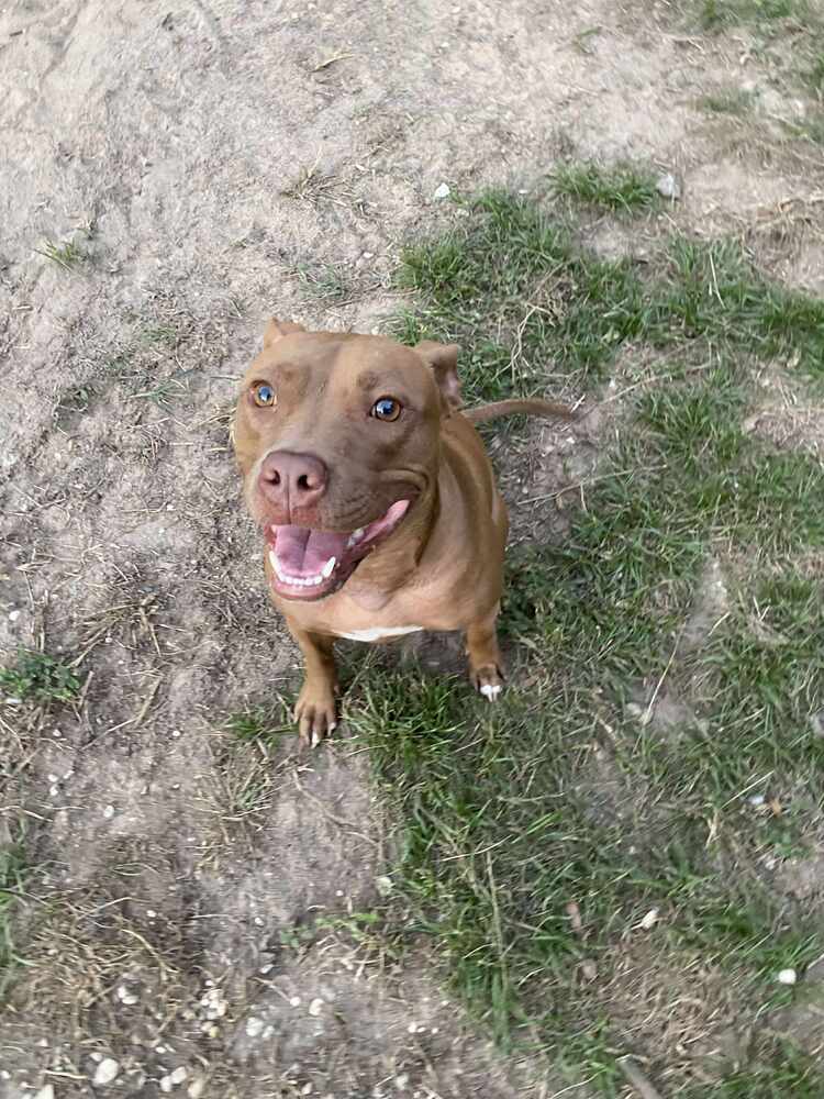 Luna